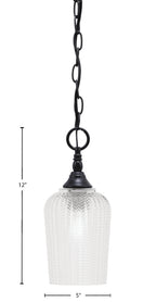 Chain One Light Mini Pendant in Matte Black with Clear Textured Shade