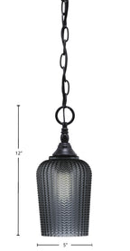 Chain One Light Mini Pendant in Matte Black with Smoke Textured Shade