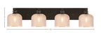 Toltec Lighting | 1164-ES-4613