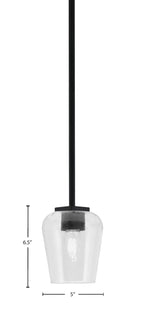 Franklin One Light Mini Pendant in Matte Black with Clear Bubble Shade