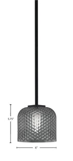 Franklin One Light Mini Pendant in Matte Black with Smoke Textured Shade