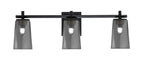 Toltec Lighting | 1213-MB-262