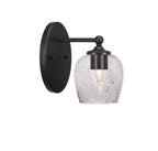 Toltec LightingHome| 5911-MB-4812
