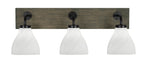 Toltec LightingHome| 1773-MBDW-4761
