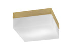 Toltec LightingHome| 840-NAB-1