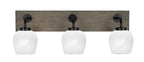 Toltec LightingHome| 1773-MBDW-4811