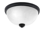 Toltec LightingHome| 826-MB-1