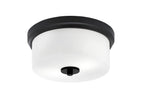 Toltec LightingHome| 832-MB-1