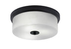 Toltec LightingHome| 834-MB-1