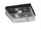 Toltec LightingHome| 842-MB-2