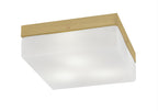 Toltec LightingHome| 842-NAB-1