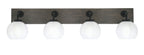 Toltec LightingHome| 1774-MBDW-4101