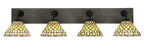 Toltec LightingHome| 1774-MBDW-9415