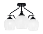 Toltec LightingHome| 2607-MB-4811