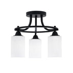 Toltec LightingHome| 3417-MB-310