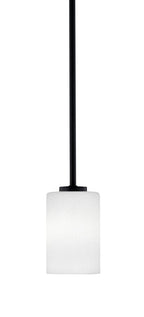 Toltec LightingHome| 4501-MB-310