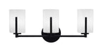 Toltec LightingHome| 4513-MB-3001