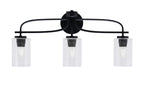 Toltec LightingHome| 3913-MB-300