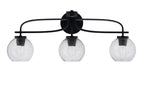 Toltec LightingHome| 3913-MB-4102