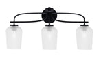 Toltec LightingHome| 3913-MB-4250