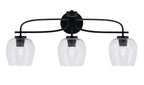 Toltec LightingHome| 3913-MB-4810