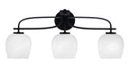 Toltec LightingHome| 3913-MB-4811