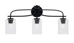 Toltec LightingHome| 3913-MB-530