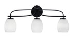 Toltec LightingHome| 3913-MB-615