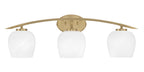 Toltec LightingHome| 3723-NAB-4811