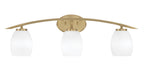 Toltec LightingHome| 3723-NAB-615