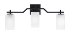 Toltec LightingHome| 2313-MB-541