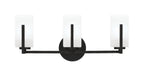 Toltec LightingHome| 4513-MB-541