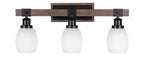 Toltec LightingHome| 1843-MBDW-4021