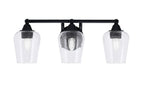 Toltec LightingHome| 3423-MB-210
