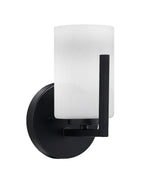 Toltec LightingHome| 4511-MB-310