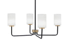 Toltec LightingHome| 6204-MBNAB-310