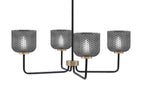 Toltec LightingHome| 6204-MBNAB-4612
