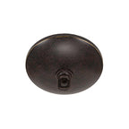 Blacksmith Four Light Chandelier in Painted Wood-look Metal & Dark Granite with 7" Sea Ice Art Glass Shade
