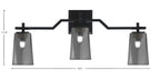 Toltec Lighting | 2313-MB-262