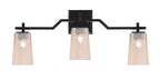 Toltec Lighting | 2313-MB-263