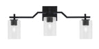 Toltec Lighting | 2313-MB-300