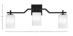 Toltec Lighting | 2313-MB-3001