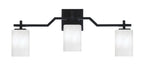 Toltec Lighting | 2313-MB-3001