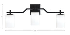 Toltec Lighting | 2313-MB-310