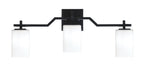 Toltec Lighting | 2313-MB-310