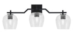 Toltec Lighting | 2313-MB-4810