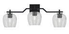 Toltec Lighting | 2313-MB-4812