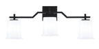 Toltec Lighting | 2313-MB-5031
