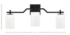 Toltec Lighting | 2313-MB-531