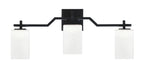Toltec Lighting | 2313-MB-531